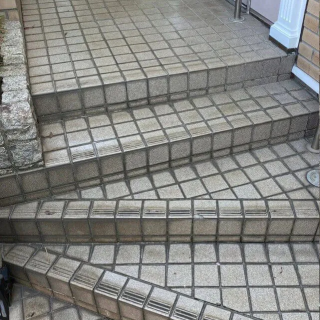 Уборка входной группы в БЦ «Сенатор» на Петроградской стороне — До уборки