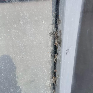 Мойка витрин в БЦ «Атрио» — До уборки