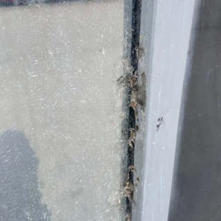 Мойка витрин в БЦ «Атрио» — До уборки